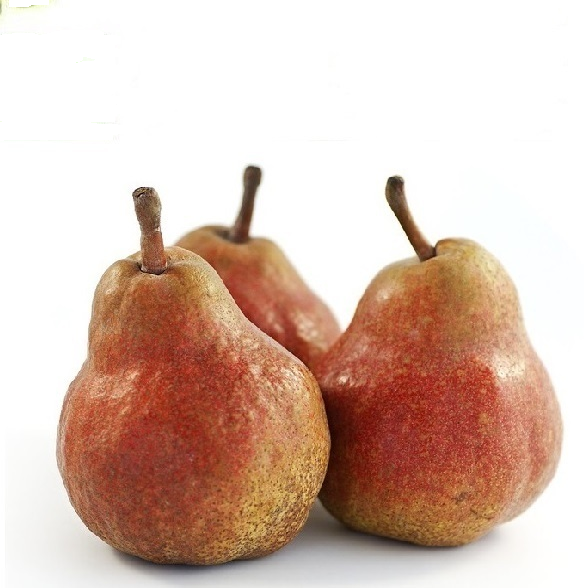 Williams Birnen vom Früchte-Kontor