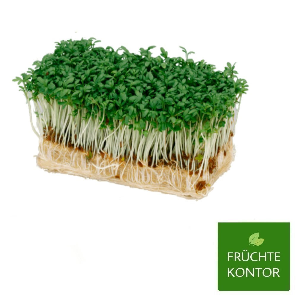 gartenkresse-kräuter-vom-früchte-kontor