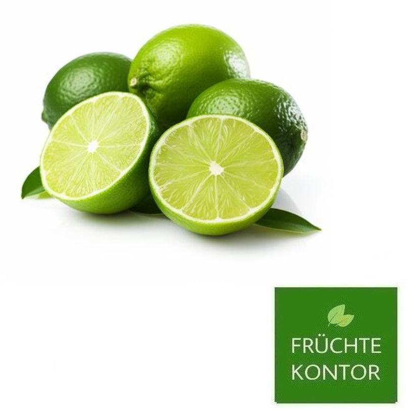 limetten-frisch-vom-fruechte-kontor