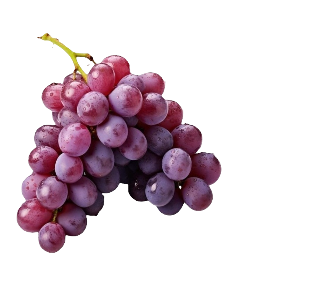Trauben rot kaufen