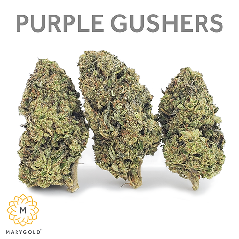 Marygold - Purple Gushers.png
