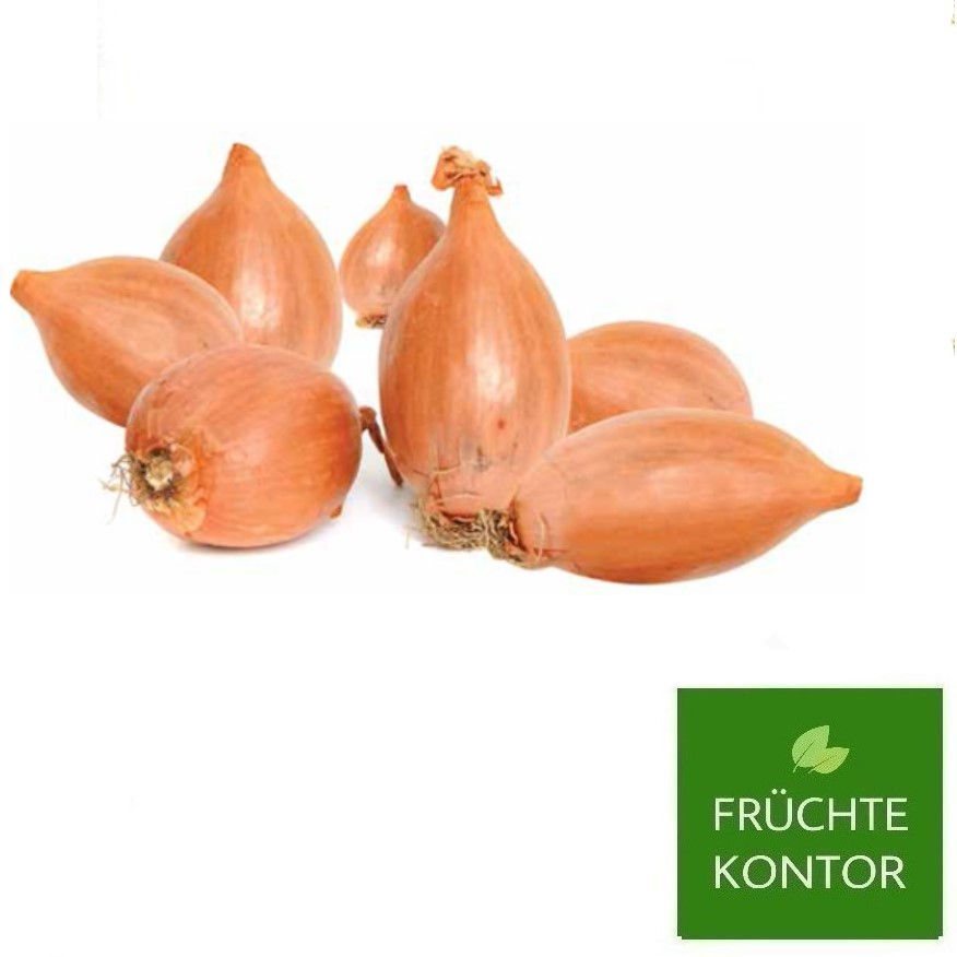 zwiebeln-schalotten-vom-früchte-kontor