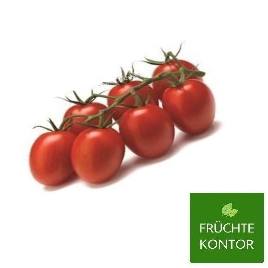 tomaten-romastrauch-vom-früchte-kontor