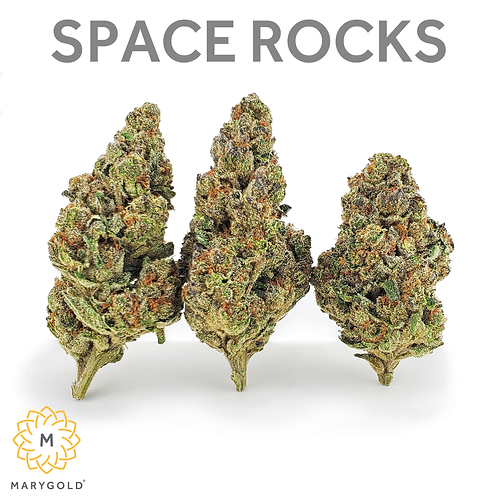 Marygold - Space Rocks IG.png