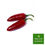 Miniaturbild: chili-jalapenos-rot-vom-früchte-kontor