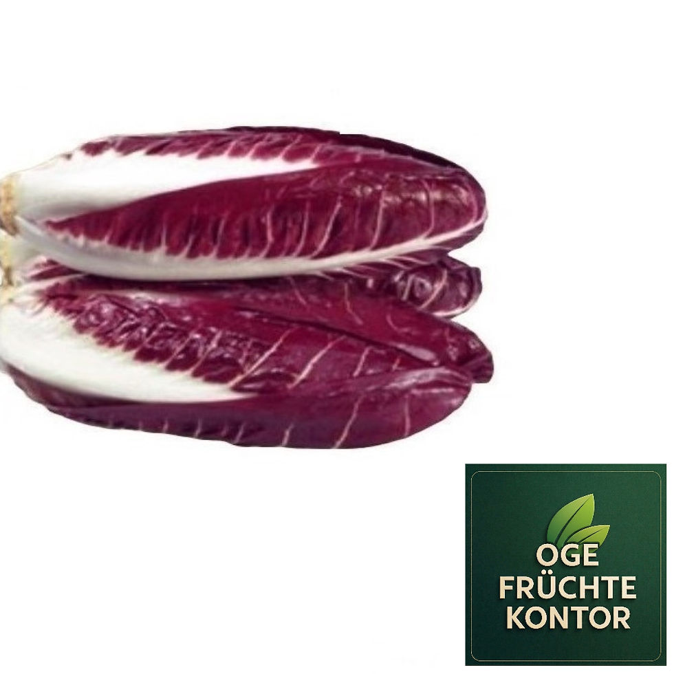Radicchio Treviso 1 kg vom Früchte-Kontor online kaufen