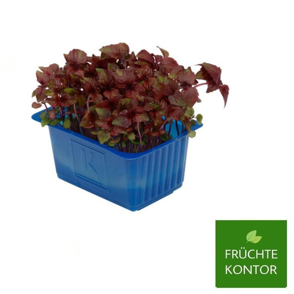 shiso-kresse-kräuter-vom-früchte-kontor