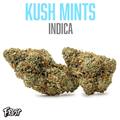 Products | Frost | Los Angeles