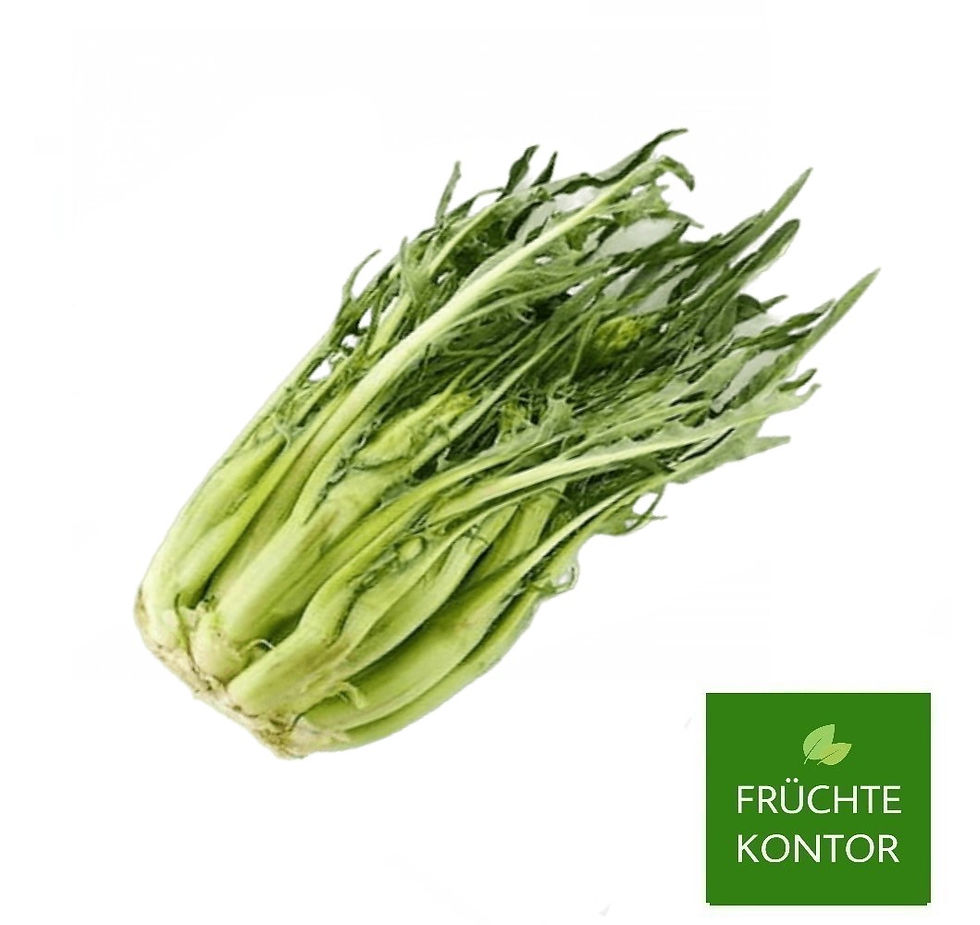 cimata-puntarella-vom-früchte-kontor