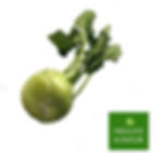 kohlrabi-frisch-vom-früchte-kontor