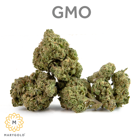 Marygold - GMO IG.png