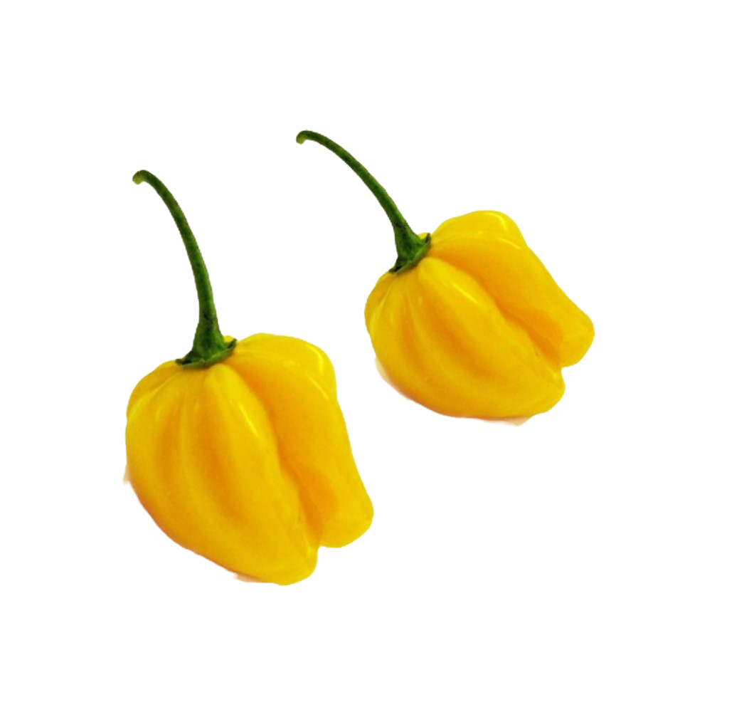 Habanero gelb 100g online kaufen