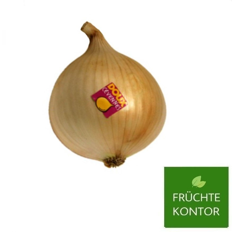zwiebeln-cevennes-vom-früchte-kontor