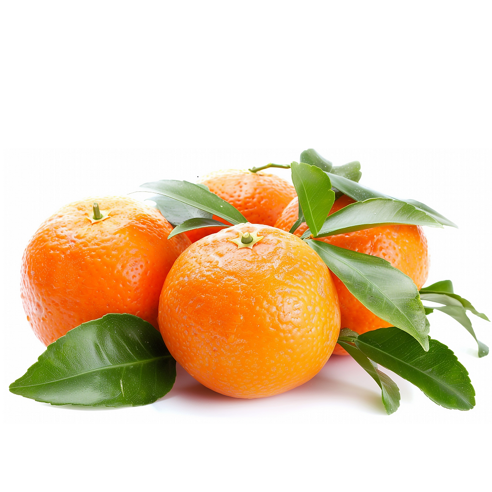 Miniaturbild: Premium Clementinen 1 KG vom Früchte-Kontor kaufen