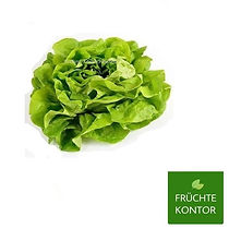 kopfsalat-vom-früchte-kontor