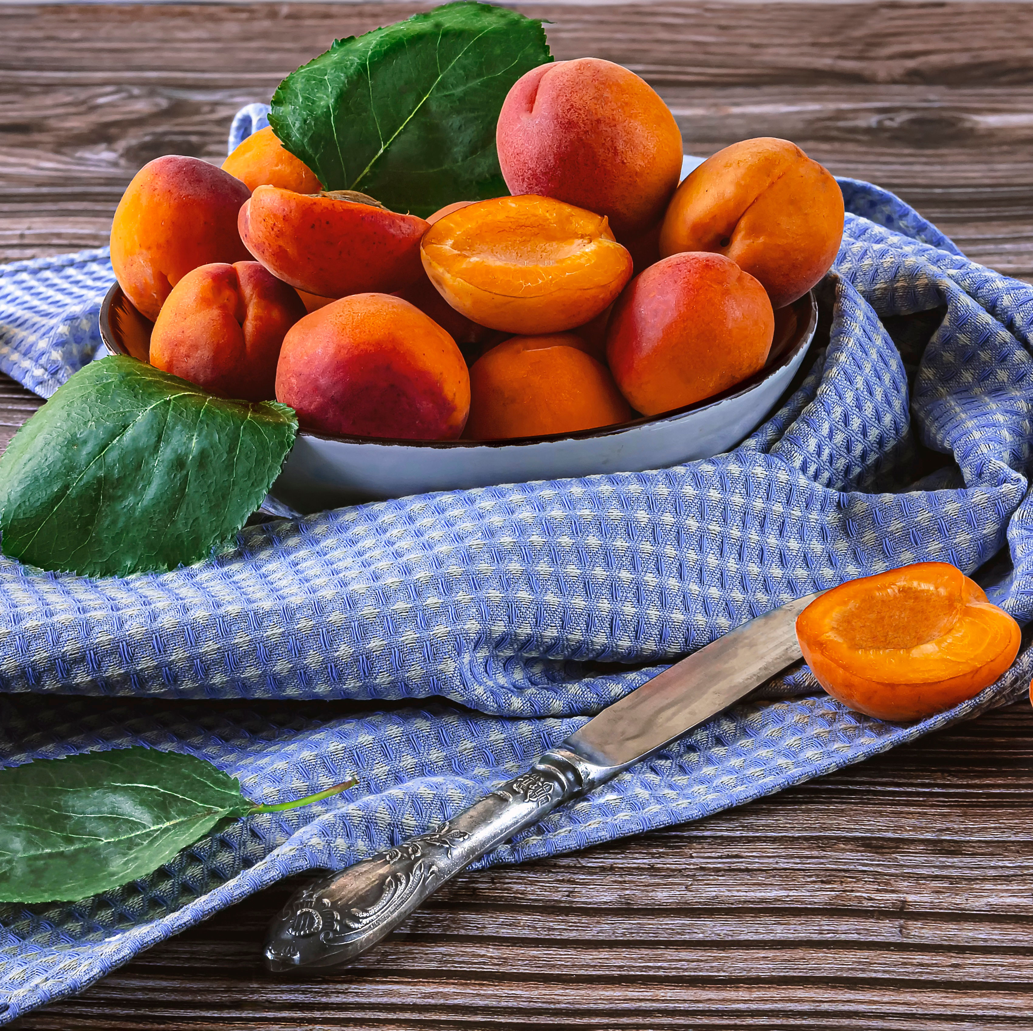 Aprikosen aus der Provence 1 KG online kaufen