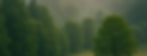 661f7b99-f1f0-4ee6-8c32-cc87989410a7_edited_edited.jpg