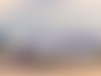 MEETING #2 - Dijon (19-20 mai 2023)