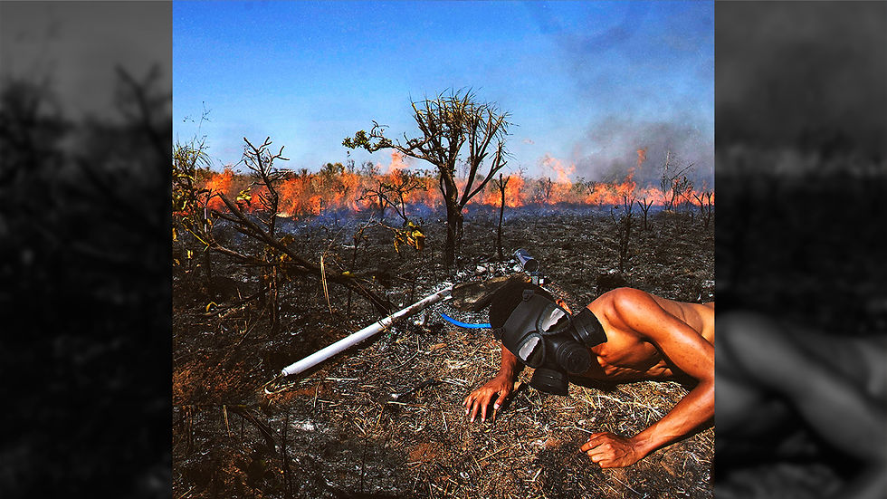 Foto Fire 1 (PNG) 2023 WIX 001.jpg