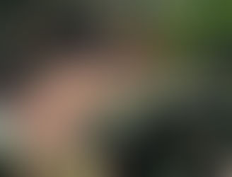 Red vial cafetalera de Siguatepeque es beneficiada con las obras del FCN