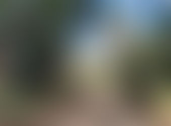 FCN realiza obras en la red vial cafetalera de Corquín Copán