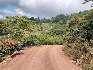 Fondo Cafetero realiza obras de rehabilitación en la red vial cafetalera de Siguatepeque