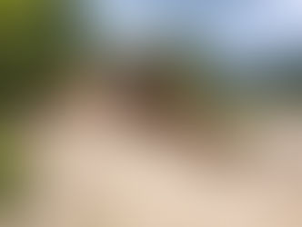 FCN realiza obras en la infraestructura vial, cafetalera del municipio de Marcala, buenas Está La Paz