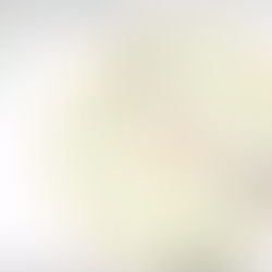 Weekly forecast for the week of November 24th, 2025