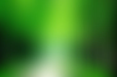 のびしろ