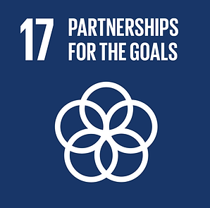 E_SDG-goals_icons-individual-rgb-17-1024x1024.png
