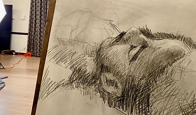 Figure Drawing-Advanced.png