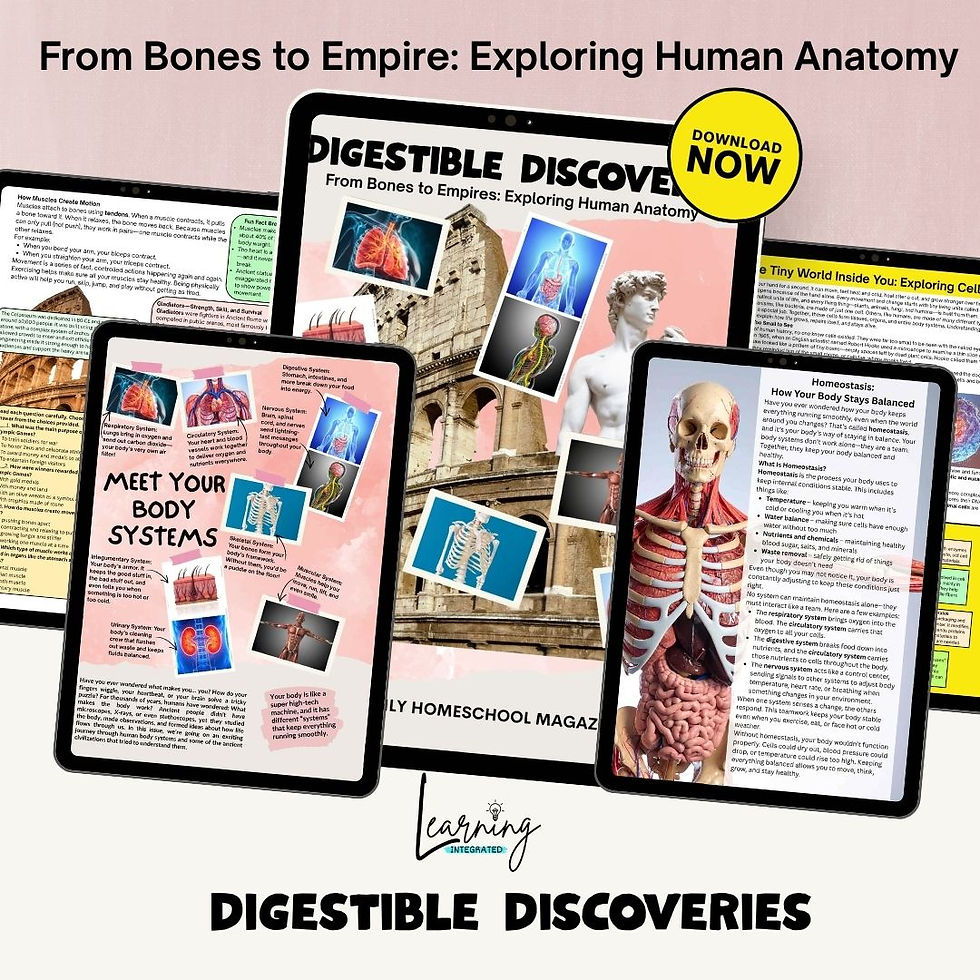 Thumbnail: From Bones to Empires: Exploring Human Anatomy