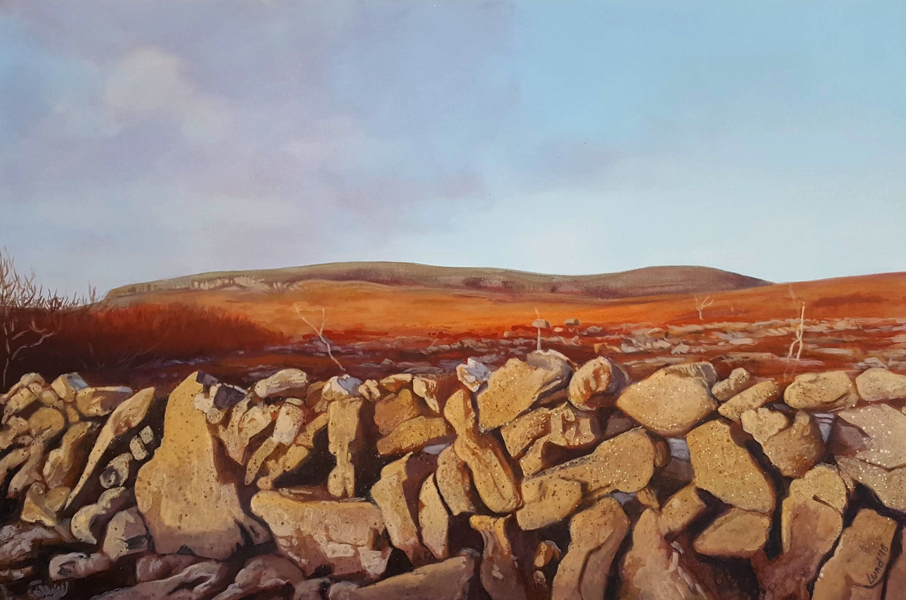 Fine art print 8"x12"- Burren Hills