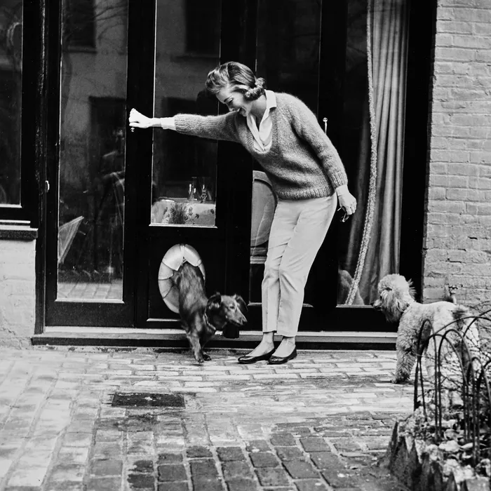 vintage dog door