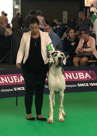 Lanzarote DCDR