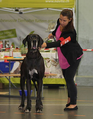 ISABEAU DCDR