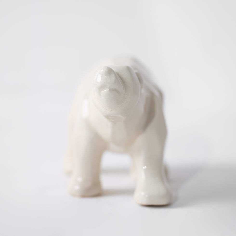 サムネイル： o-27v | Polar Bear Object