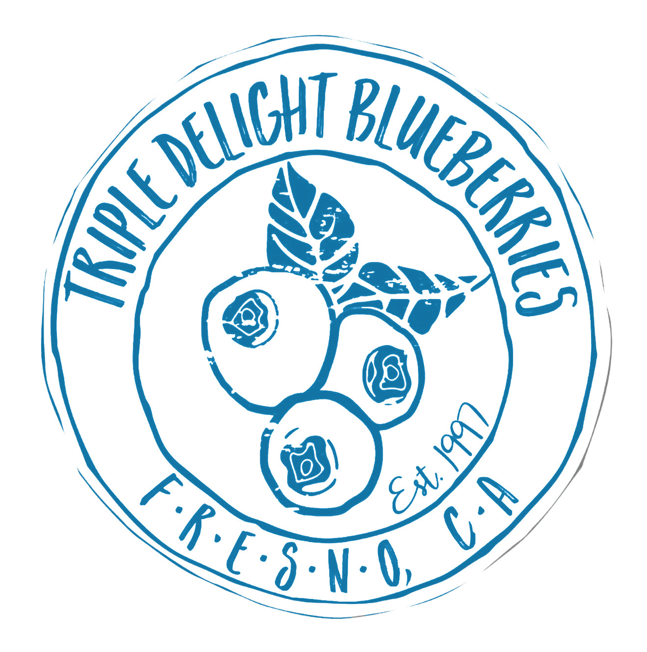 Triple Delight Blueberries