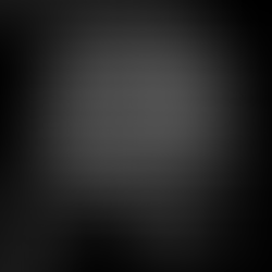 NOTA DE REPÚDIO DA SOCIEDADE BRASILEIRA DE BIOÉTICA (SBB) AOS ATOS DE ATAQUE À DEMOCRACIA