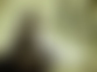 QUEM TEM MEDO DA LEGALIZAÇÃO?