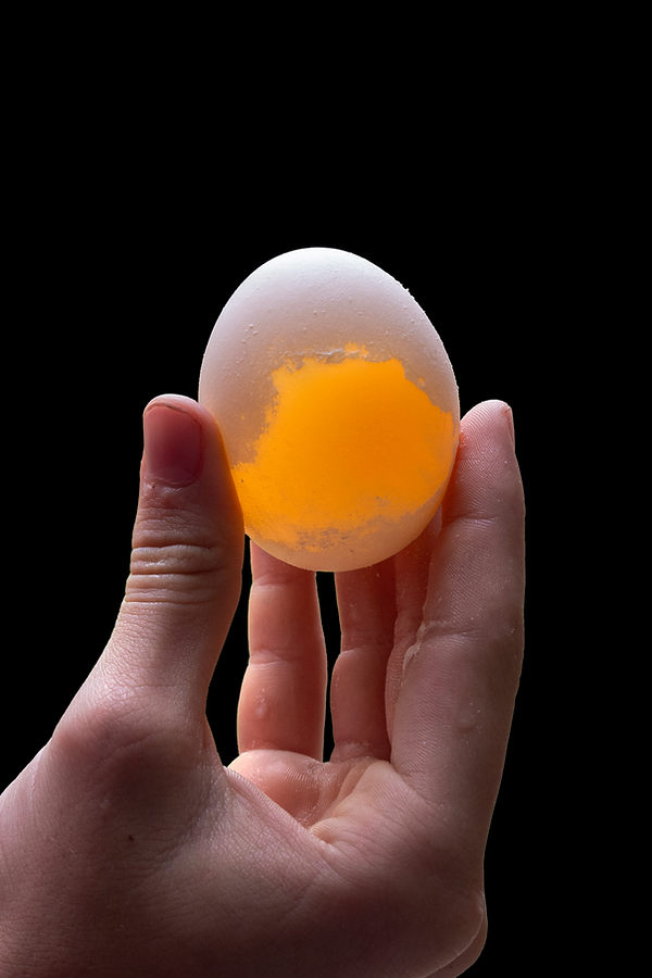 Egg Disolved in Vinegar.png