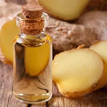 Organic Ginger Oil (25 L)