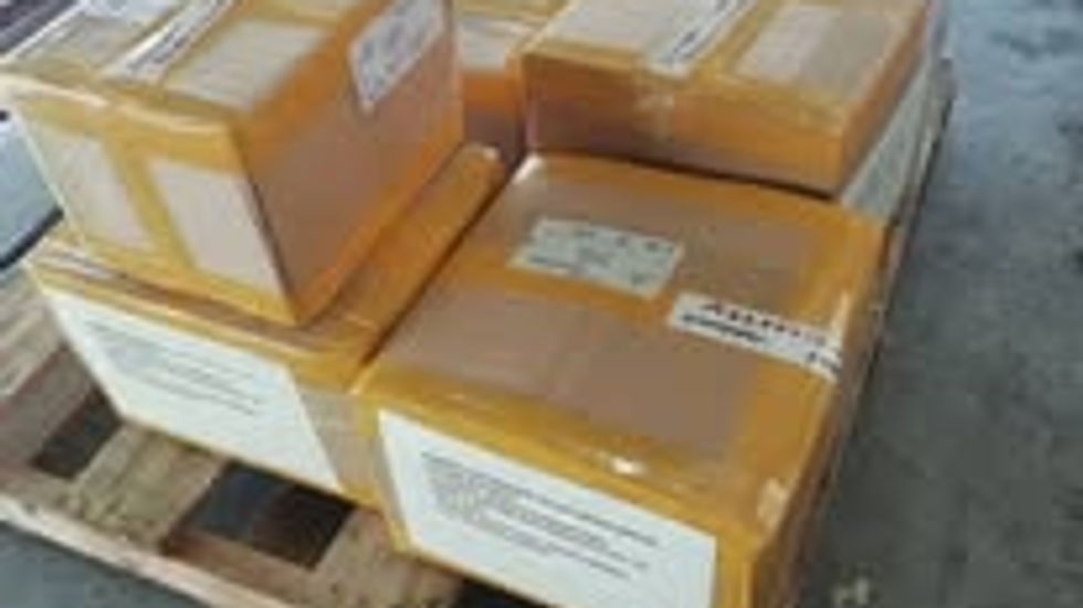 The first shipment of shea butter to Egypt