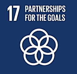 SDG 17 Partnerships for the goals