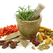Aromatic Plants
