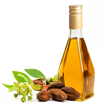 Pure Jojoba Seed Oil from Egypt (25 liters)