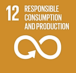 SDG 12 Responsible consumption and production sign
