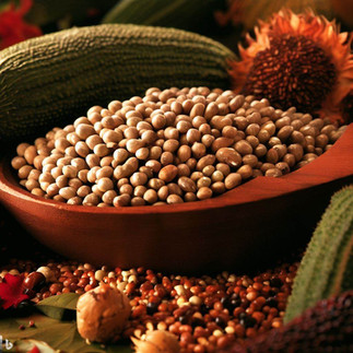 Bambara Seeds from Ghana