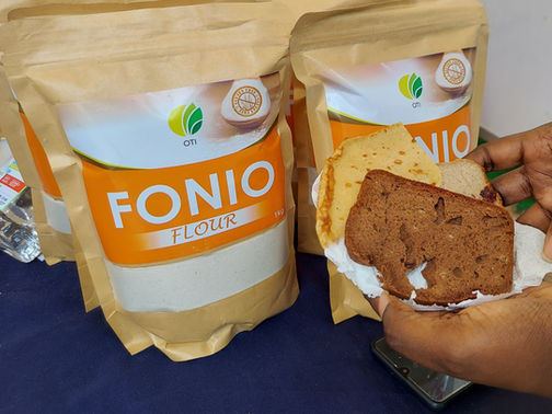 GLUTEN-FREE HEALTHY FONIO LOAF/BREAD RECIPE