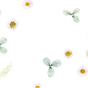 Yarrow, Common Daisy & Clover